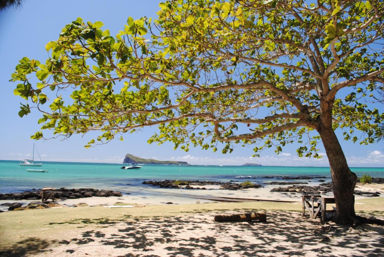 Sea-Lily Beach Villa Бель Мар Экстерьер фото